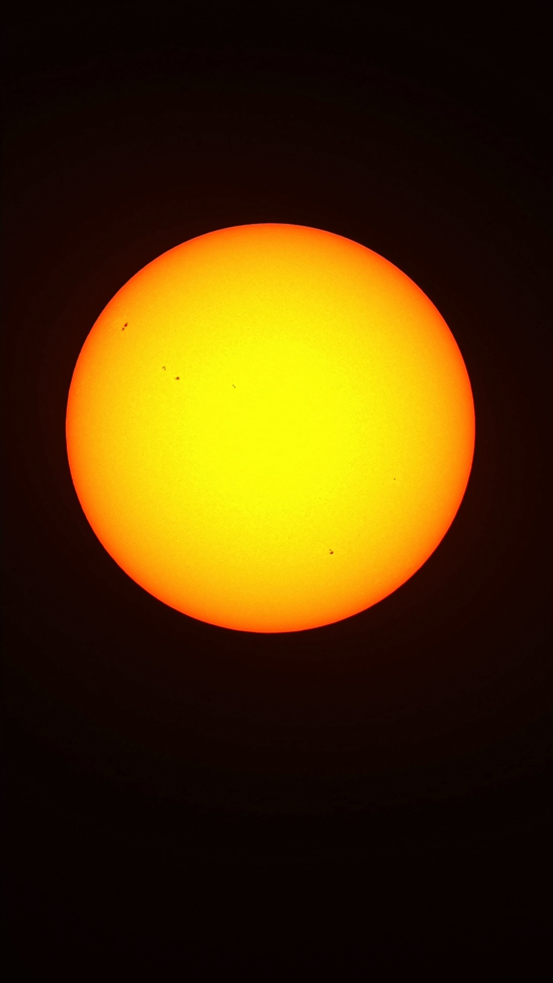 1786549223501.jpg