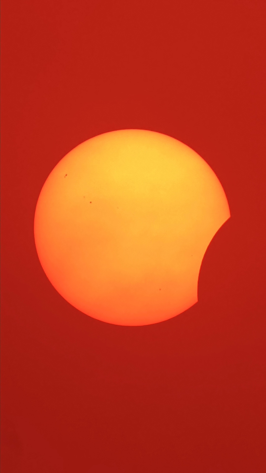 1786556258554.jpg