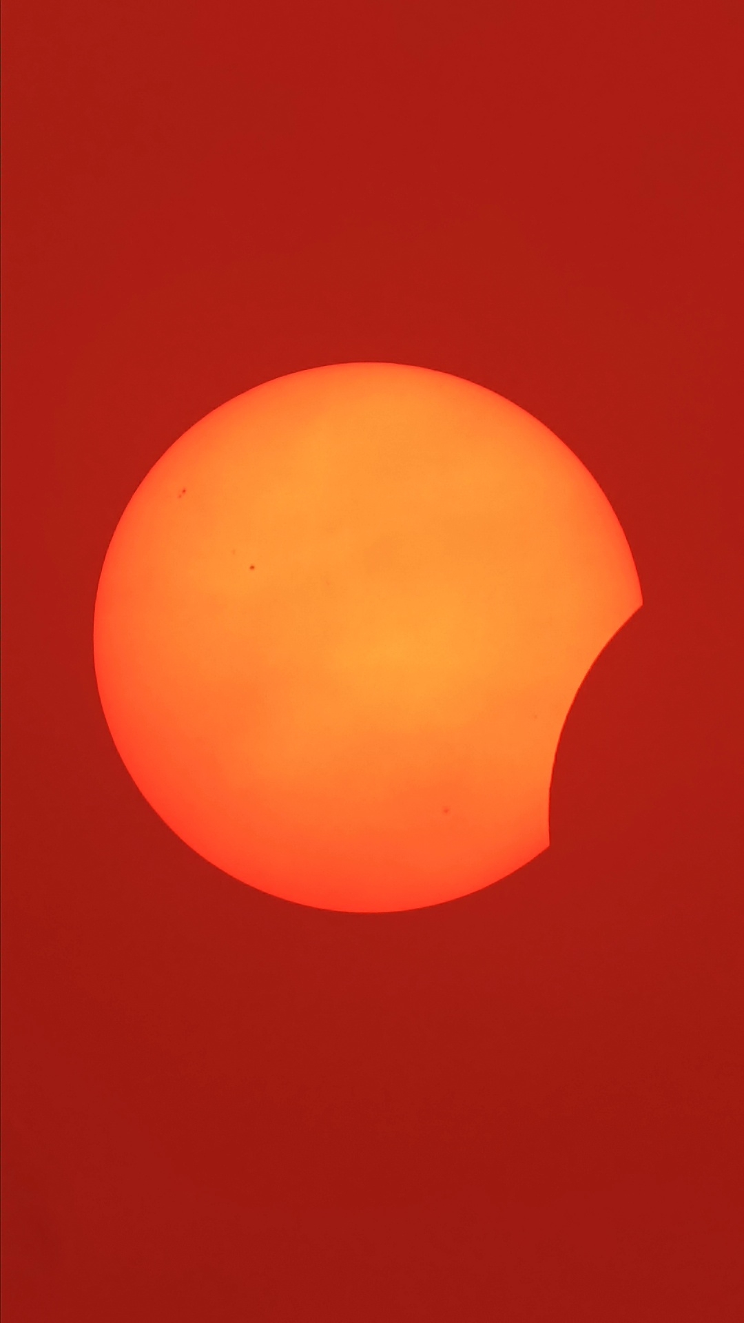 1786556272584.jpg