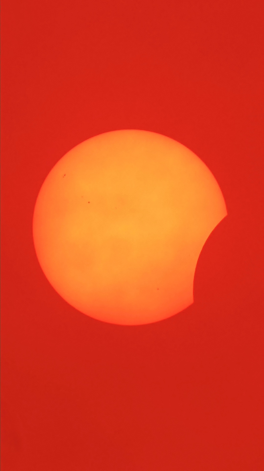 1786556290868.jpg