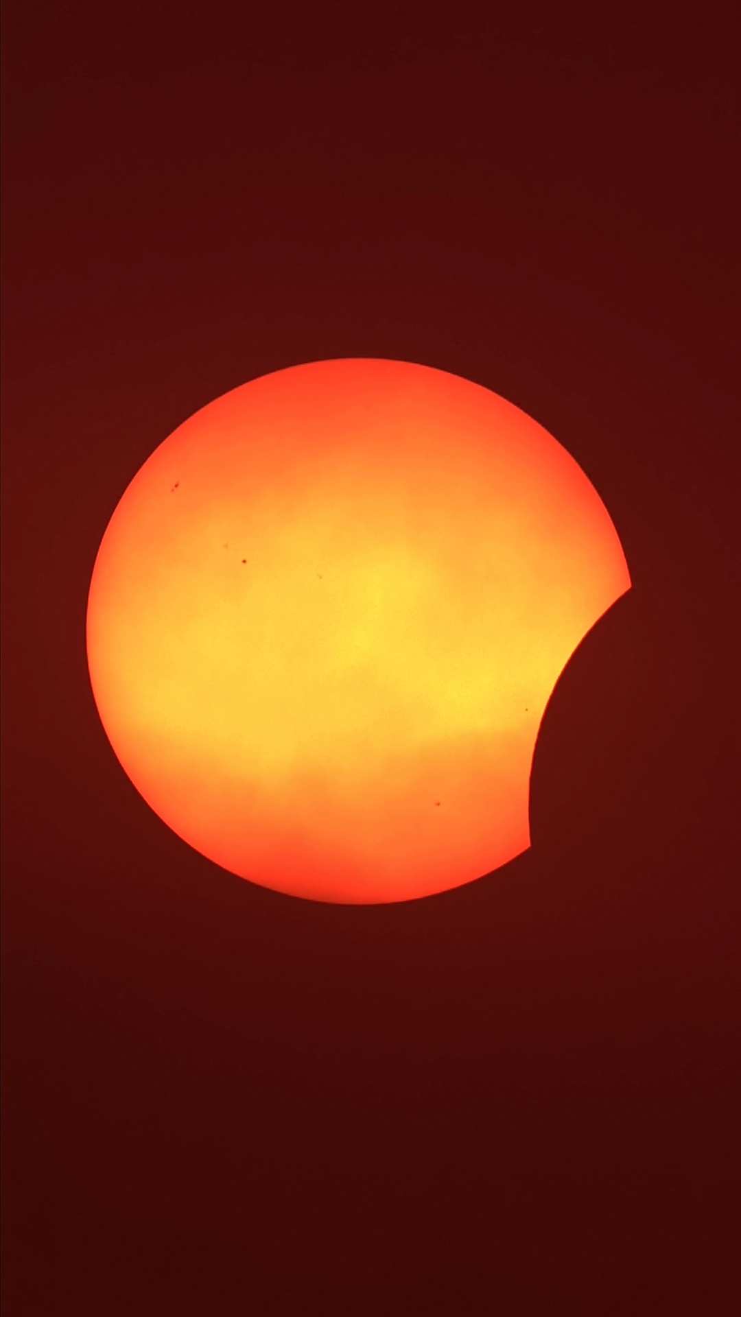 1786556344317.jpg