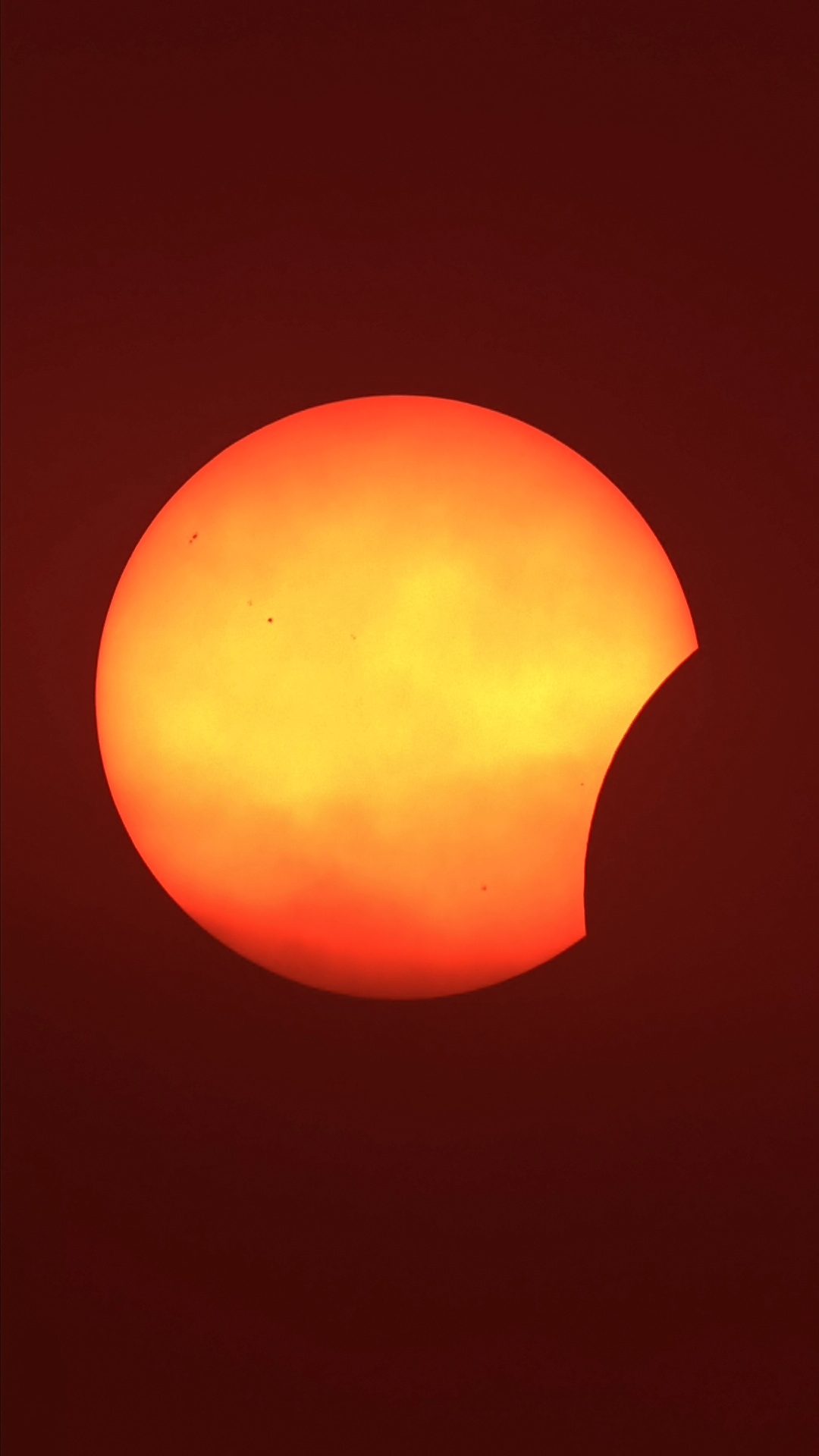 1786556346586.jpg