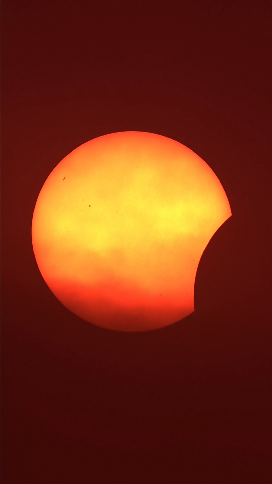1786556348950.jpg