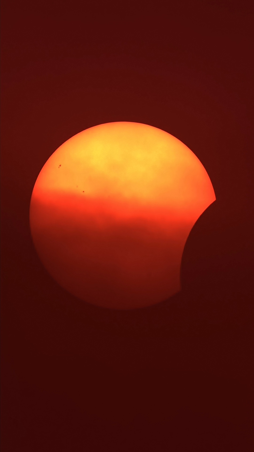 1786556358386.jpg