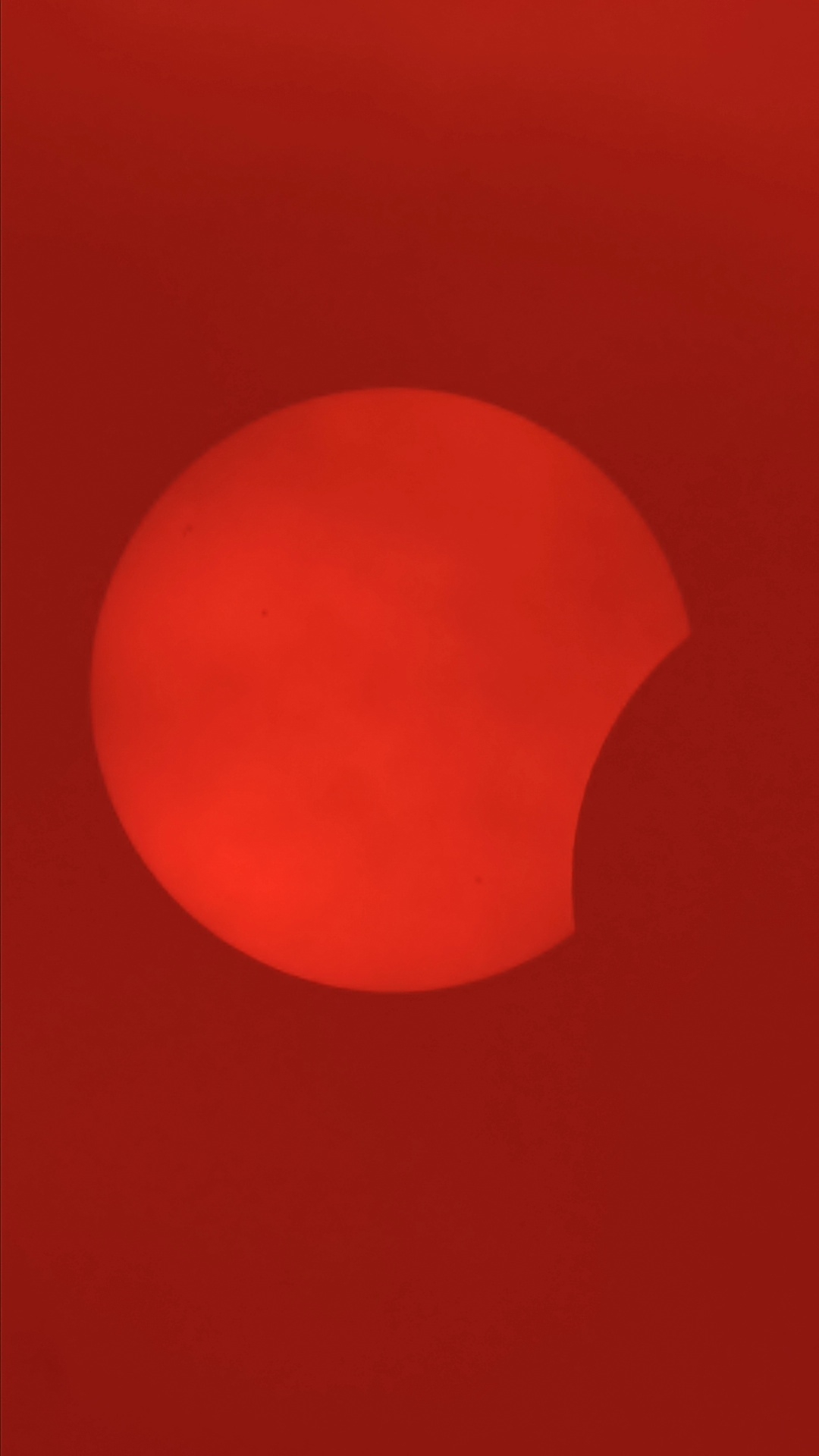 1786556381299.jpg