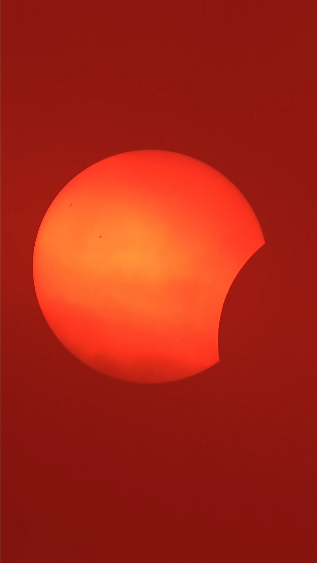 1786556405981.jpg