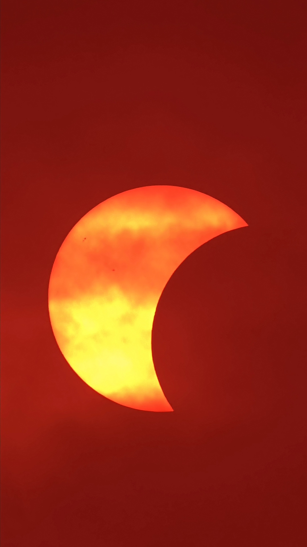 1786557600120.jpg