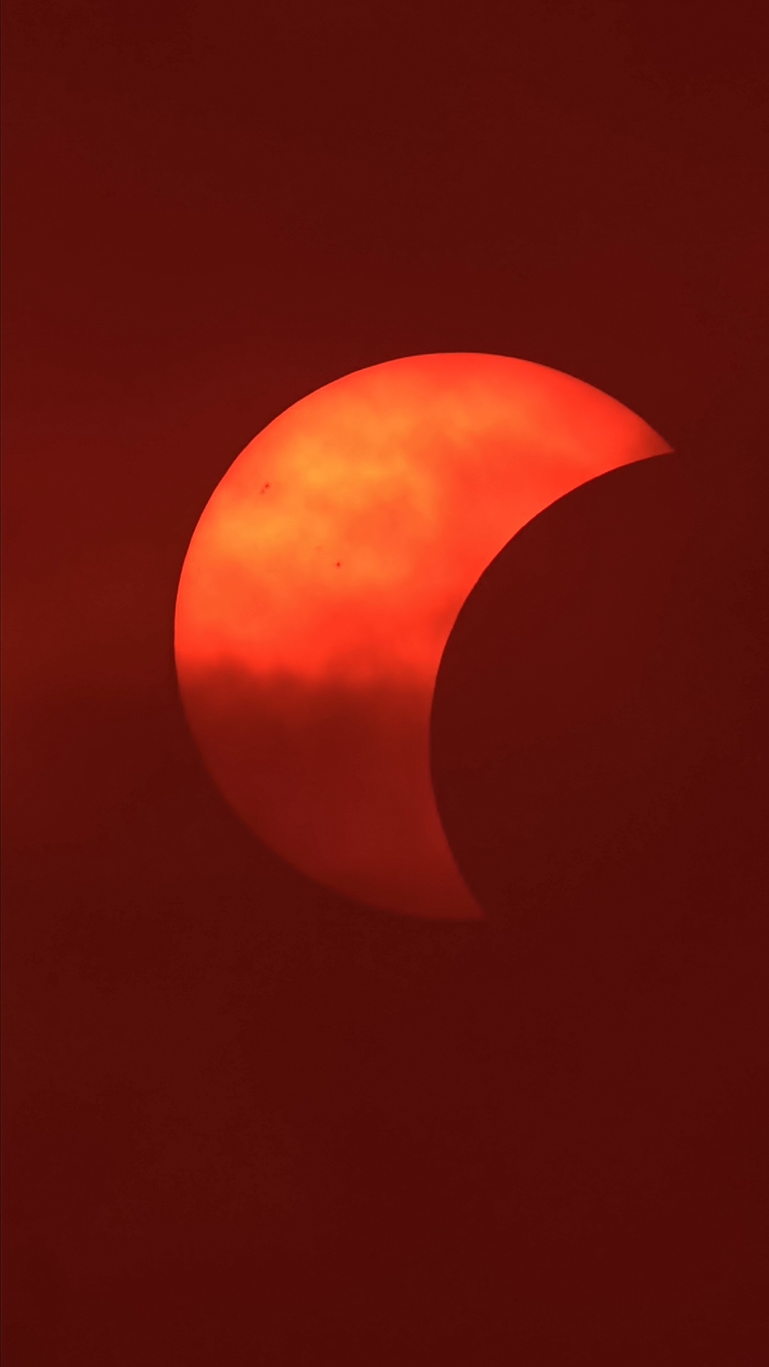 1786557618128.jpg