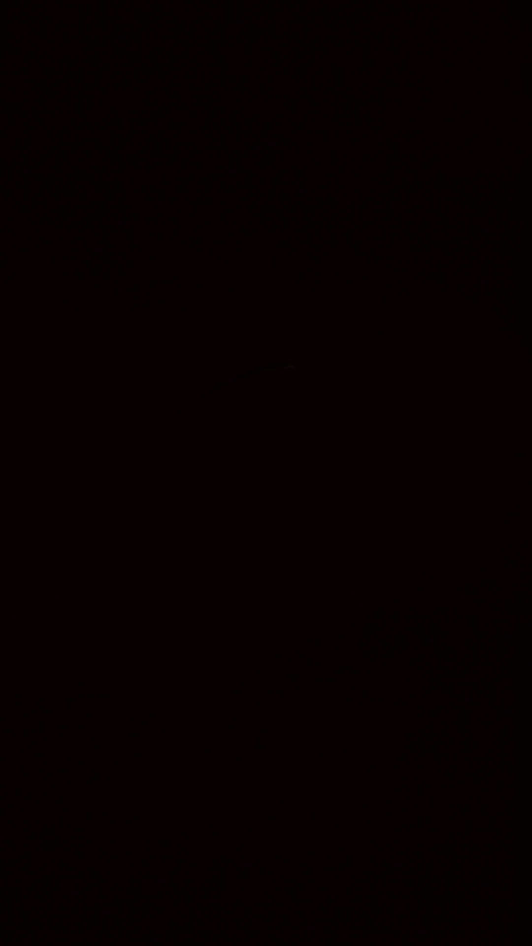 1786559217690.jpg