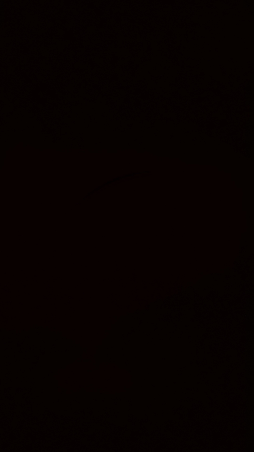 1786559241640.jpg