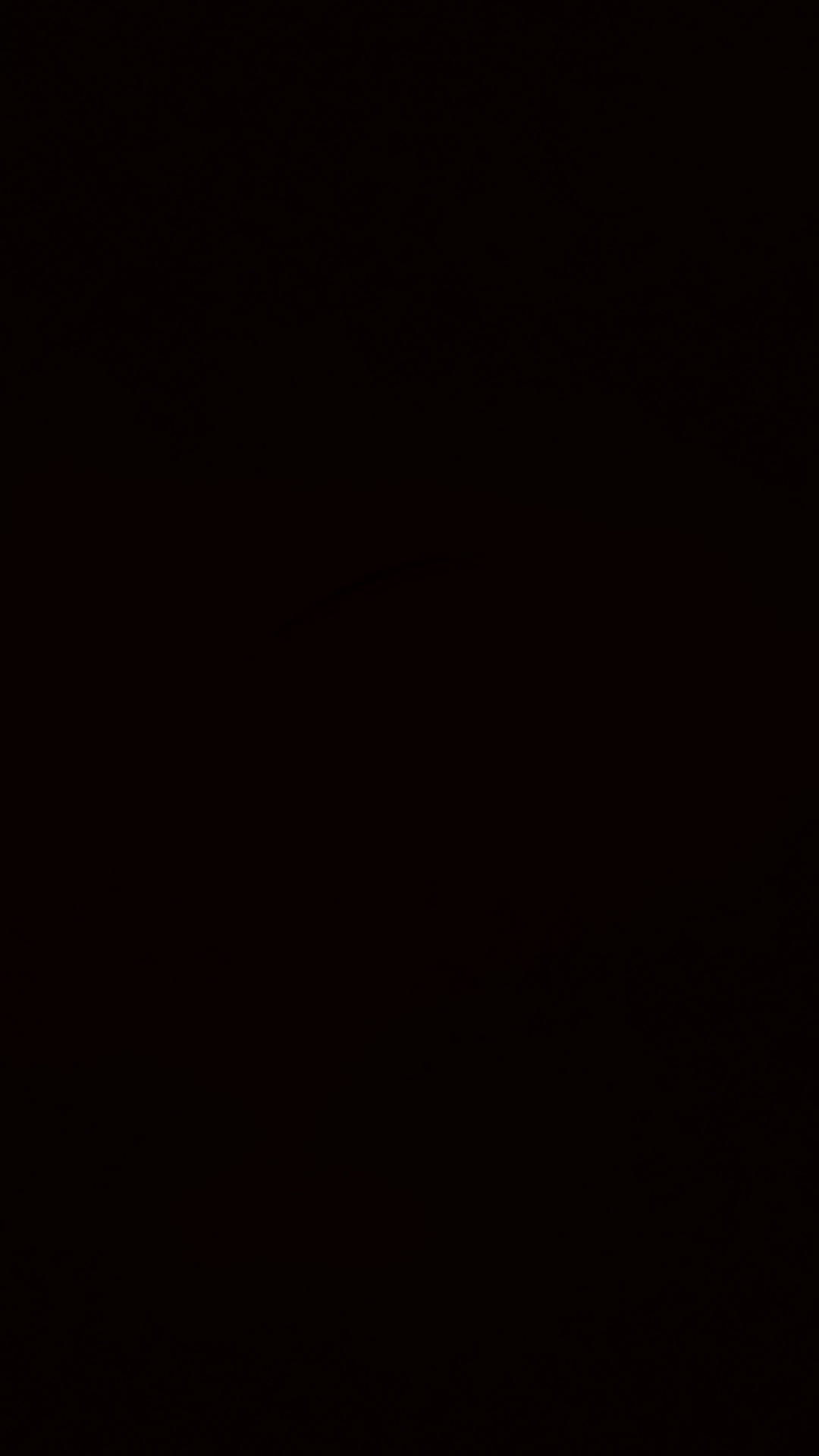 1786559242400.jpg
