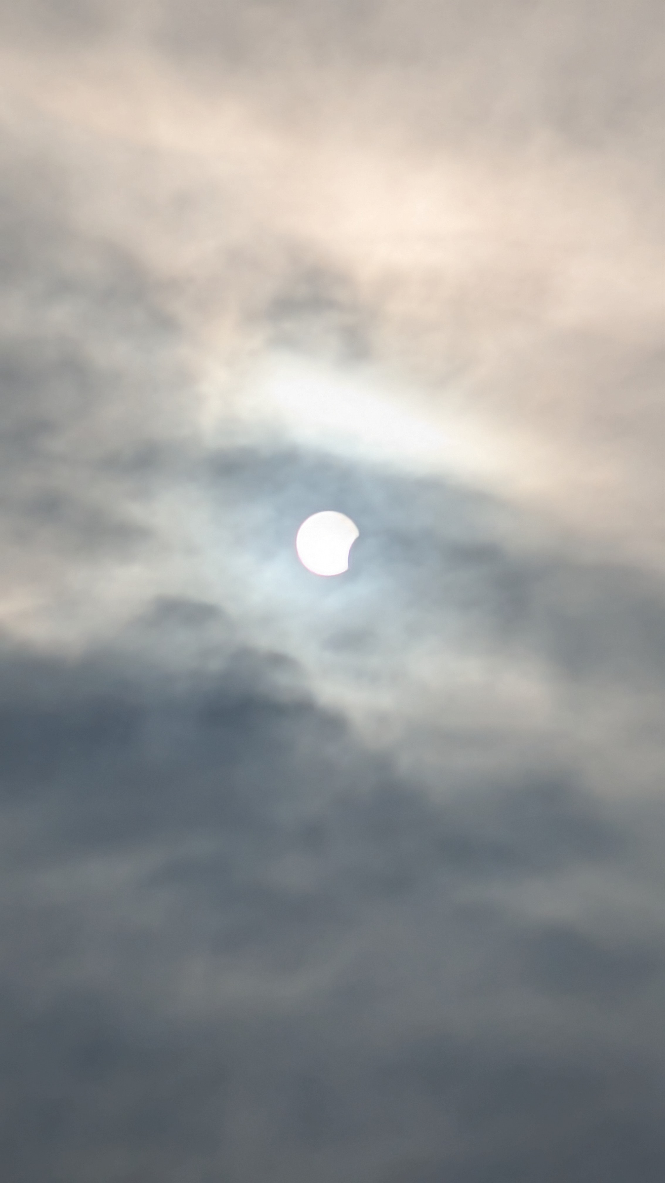 PXL_20260812_174058294.jpg