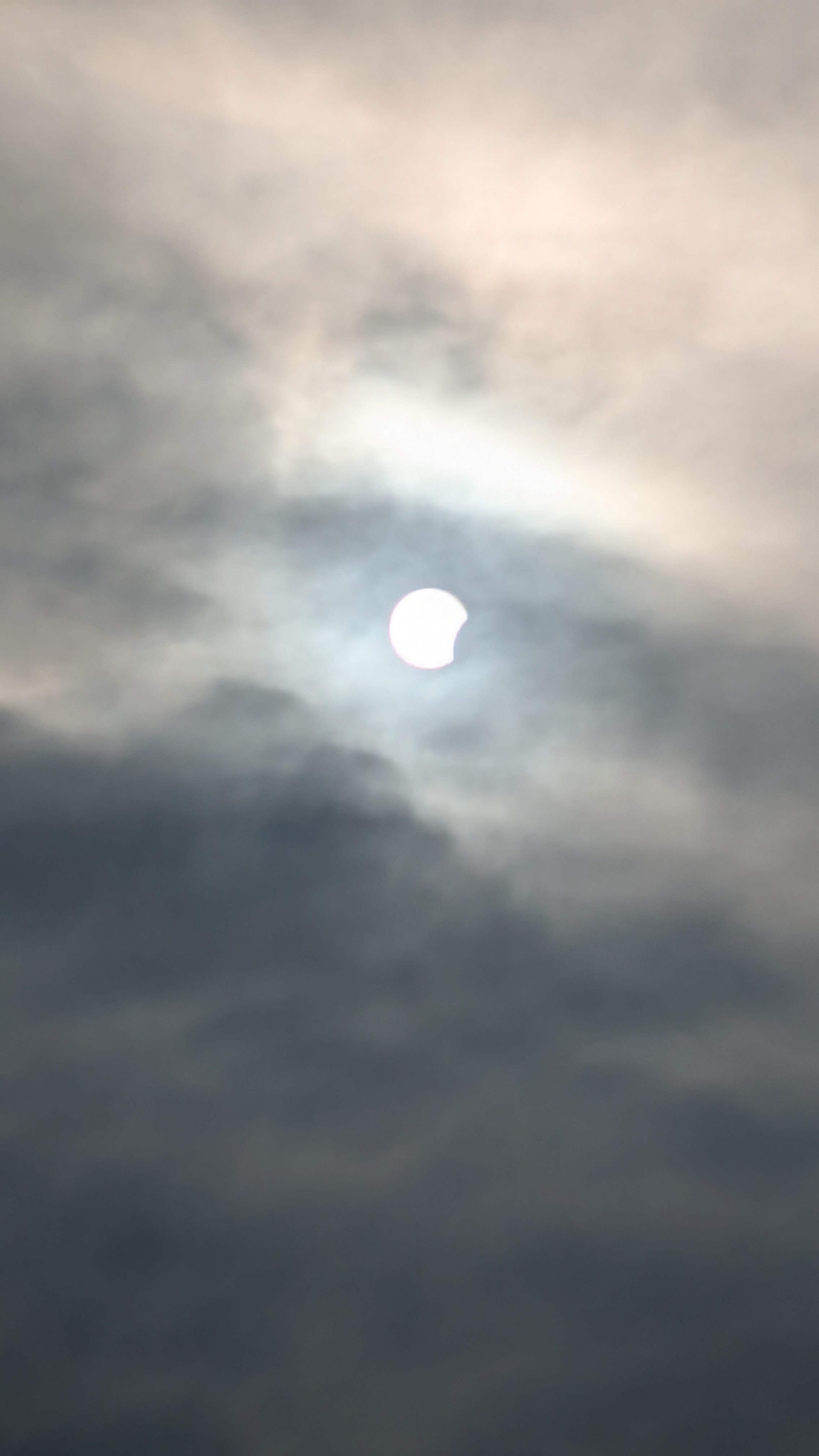 PXL_20260812_174102245.jpg