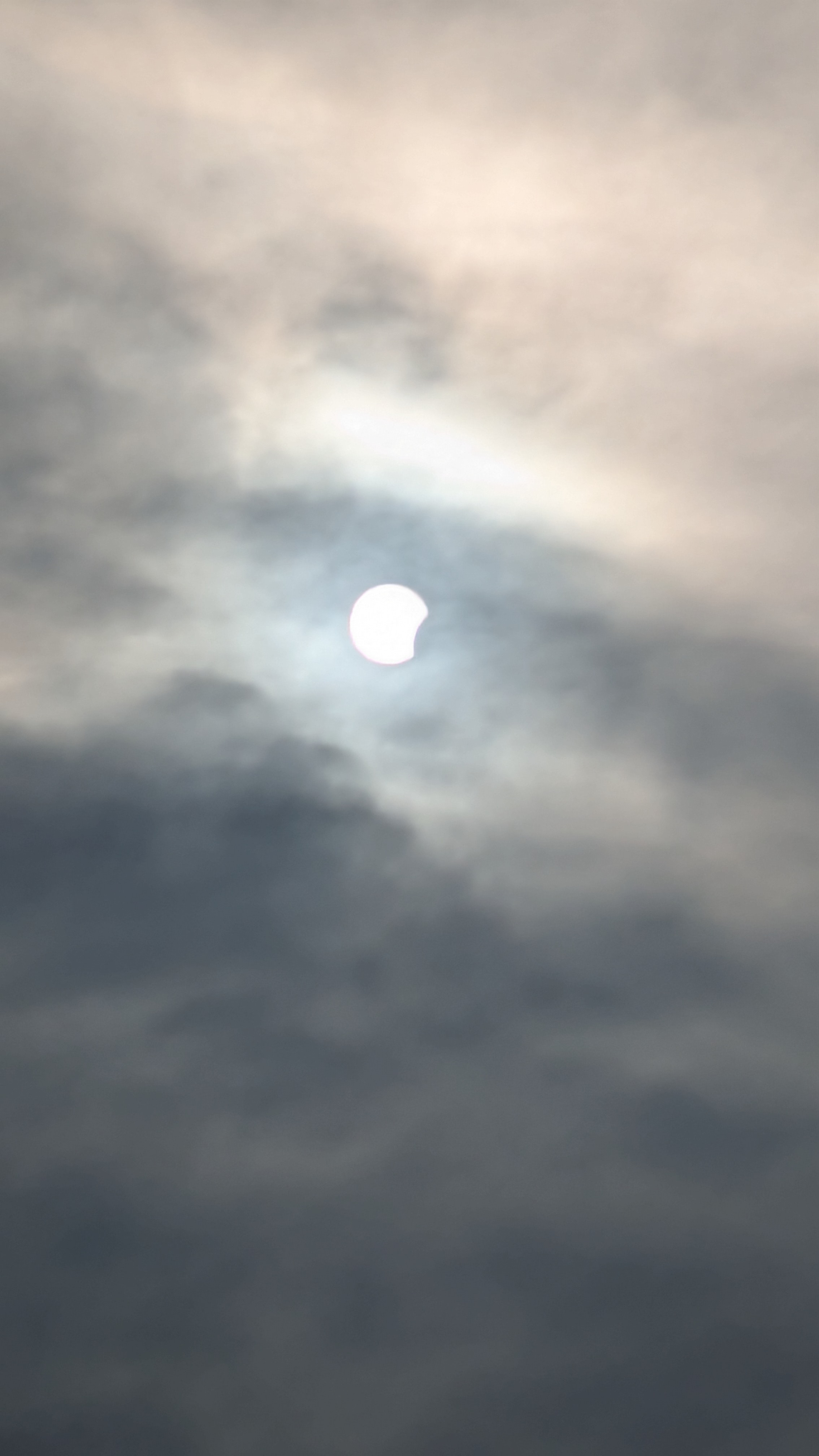 PXL_20260812_174103608.jpg