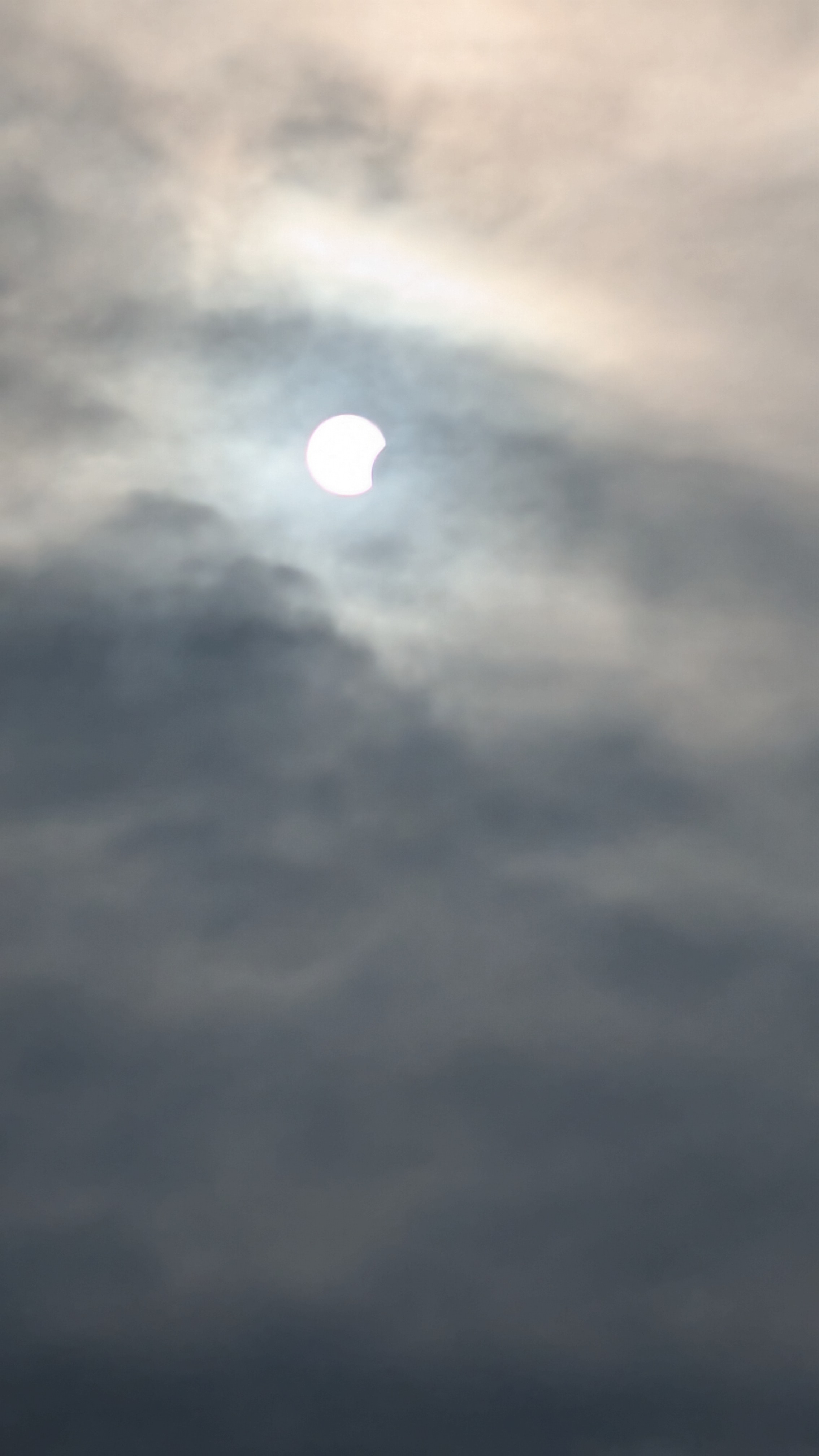 PXL_20260812_174106902.jpg
