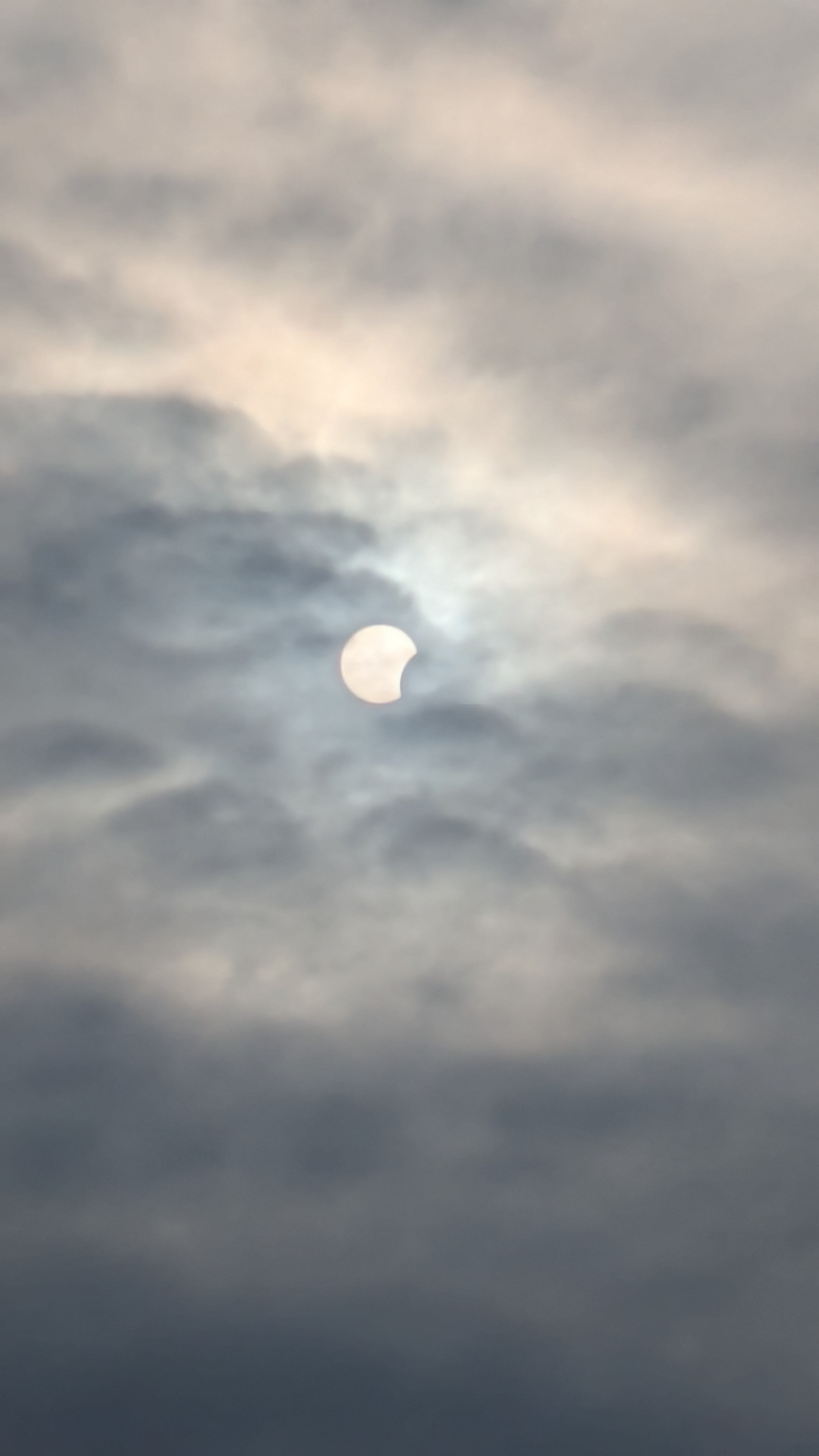 PXL_20260812_174240001.jpg