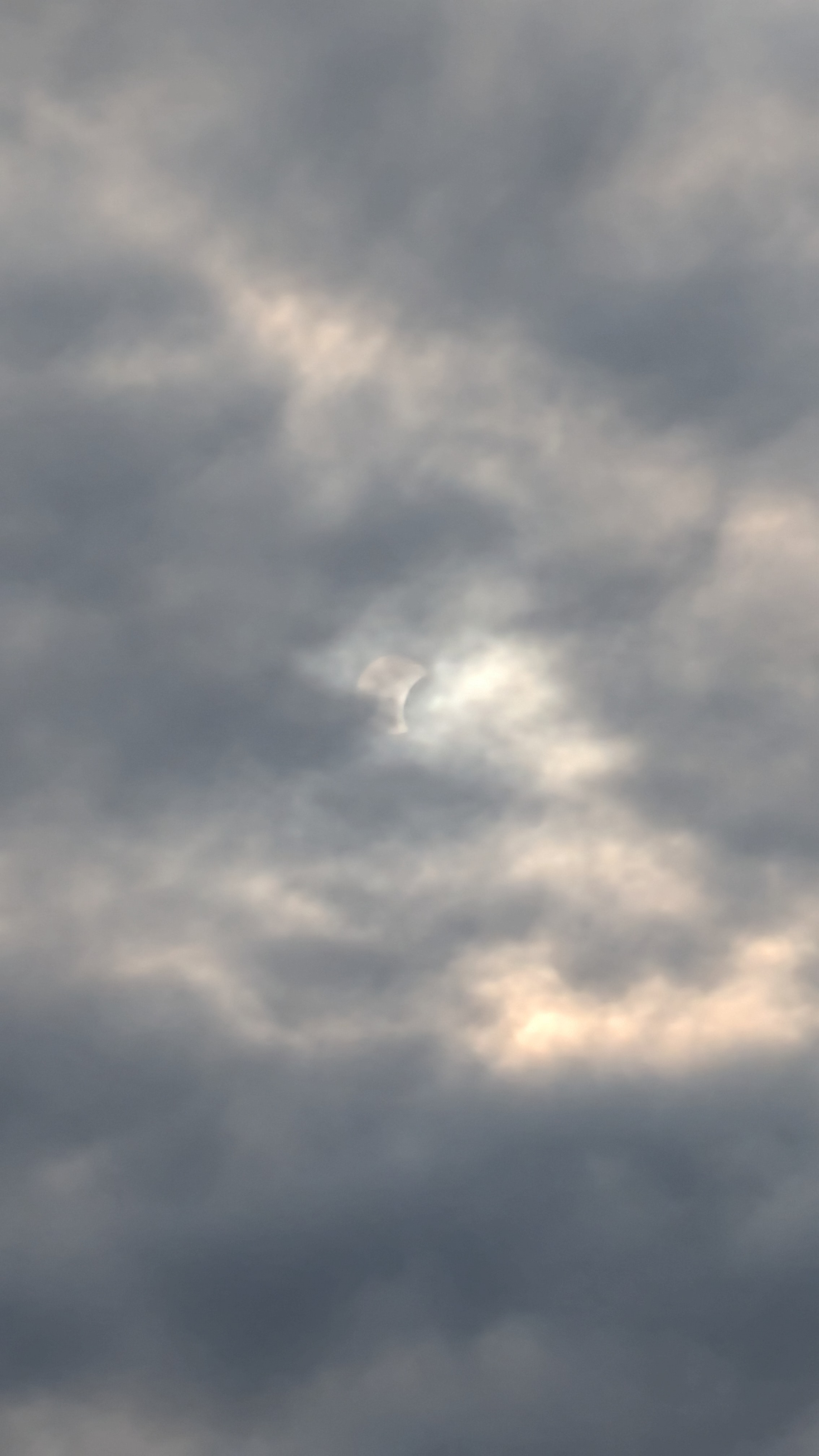 PXL_20260812_175110841.jpg